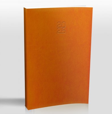 elastyczna standard